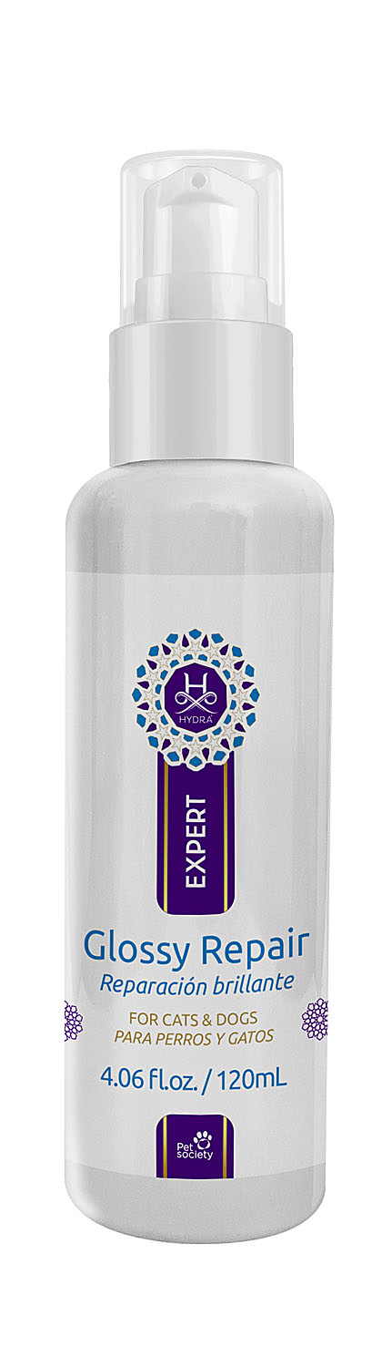 Expert-Glossy_Repair Expert Glossy Repair