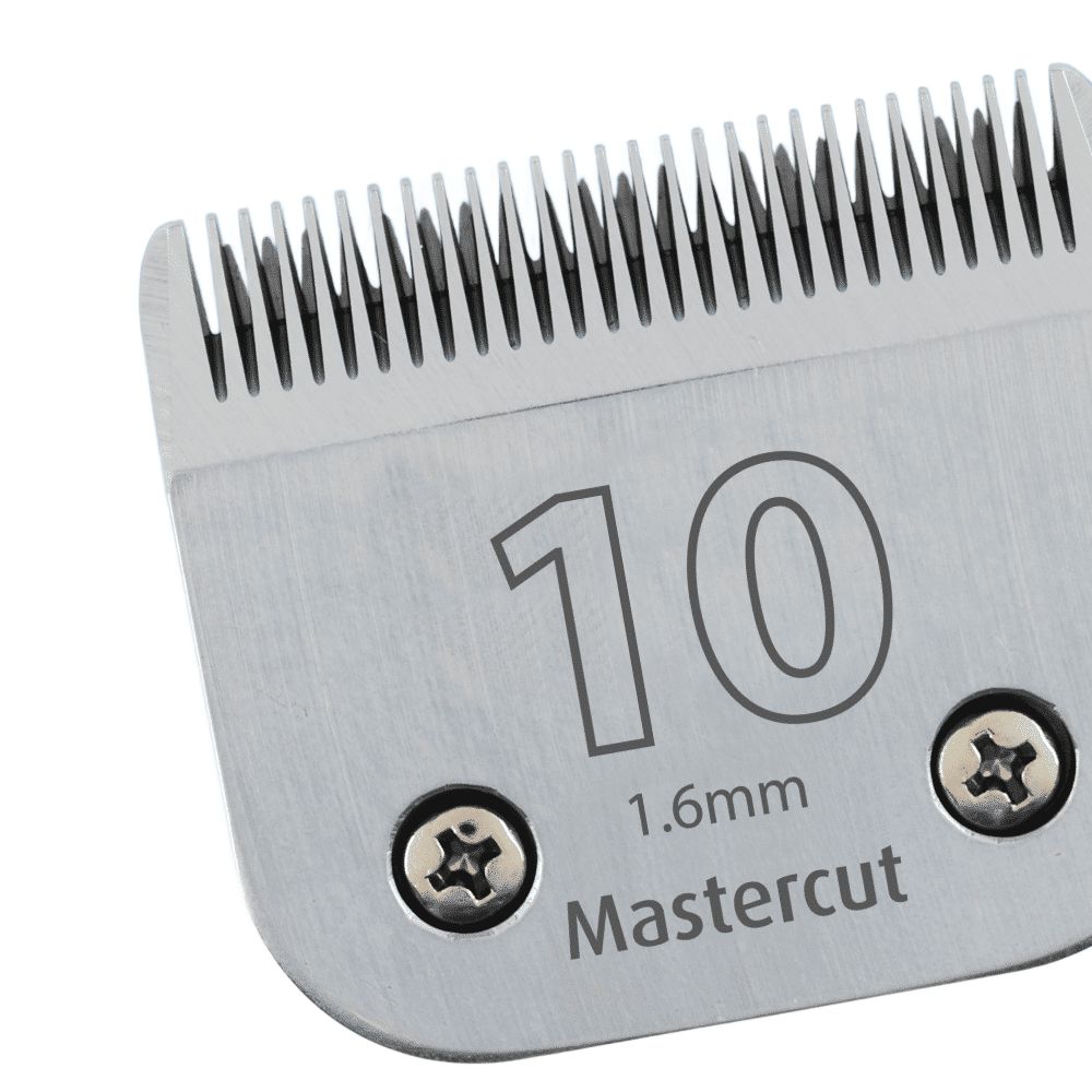 #10 Scherkopf (1,6 mm)
