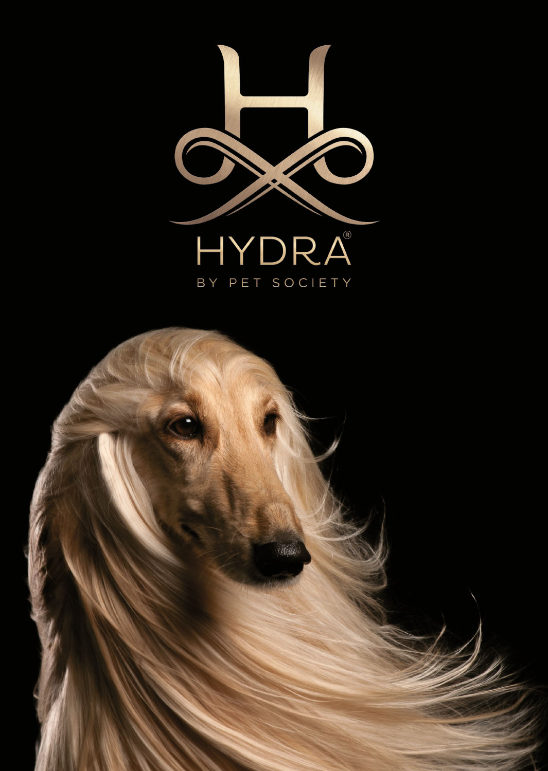 hydra-afghane-HG-schwarz-A2 Hydra Werbeposter